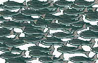 �I�T�J�i�S�b