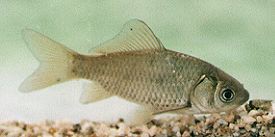 �I�T�J�i�S�b