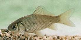 �I�T�J�i�S�b
�ʐ^�͓��e�҂̈Ӑ}�ƈقȂ邩������܂��񂪁A���e�͂��E�E�E