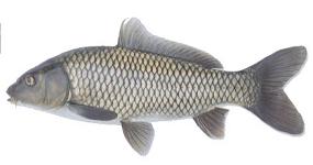 �I�T�J�i�S�b