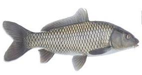 �I�T�J�i�S�b
�ʐ^�͓��e�҂̈Ӑ}�ƈقȂ邩������܂��񂪁A���e�͂��E�E�E