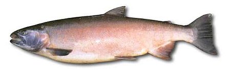 �I�T�J�i�S�b
�ʐ^�͓��e�҂̈Ӑ}�ƈقȂ邩������܂��񂪁A���e�͂��E�E�E