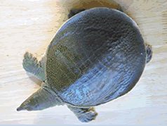 �I�T�J�i�S�b
�ʐ^�͓��e�҂̈Ӑ}�ƈقȂ邩������܂��񂪁A���e�͂��E�E�E