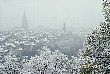 ばら公園から雪化粧のベルン市街を見下ろす